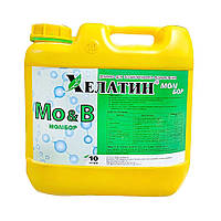 Добриво Хелатин МоліБор 10 л Кіссон Україна