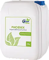 Добриво Phoenix (Відновлення) 10 л SmartGrow Україна