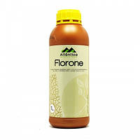 Біостимулянт Флорон (Florone) 1 л Вітера Atlantica Agricola Іспанія