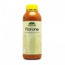 Біостимулянт Флорон (Florone) 1 л Вітера Atlantica Agricola Іспанія