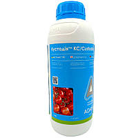 Фунгіцид Кустодія КС 1 л Adama Адама Ізраїль