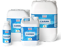 Рідке добриво Мерістем Кайран / Meristem Cairan 5 л Іспанія